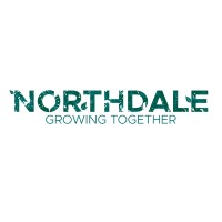 Northdale logo - Similar company to Analytics Forces