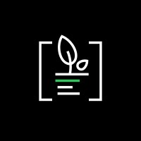 DevPlant logo - Similar company to Presslabs