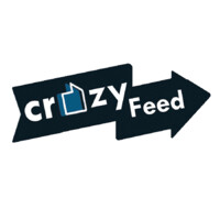 CrazyFeed LLP logo - Similar company to Vsg Binge