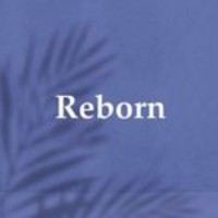 REBORN SPA logo - Similar company to Diva Spa