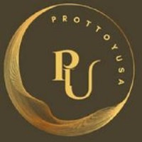 ProttoyUsa logo - Similar company to Prottoy