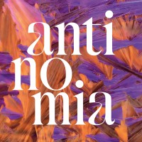 Antinomia logo - Similar company to Dis Leur