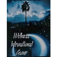 Wellness International Group logo - Similar company to Mdg Benefit Solutions