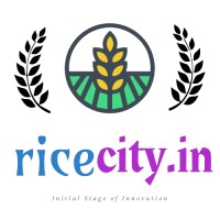 RICECITY logo - Similar company to Virosh Tech Solution