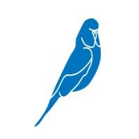 Budgy Smuggler logo - Similar company to Aussiebum