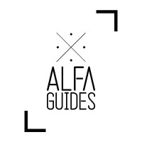 Alfaguides logo - Similar company to Blue Tooth Dental