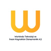 Workindo logo - Similar company to Virenet