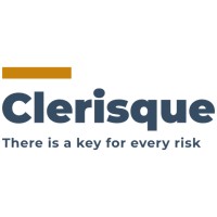 Clerisque Consulting Inc. logo - Similar company to Robotic Cargo Solutions Inc.