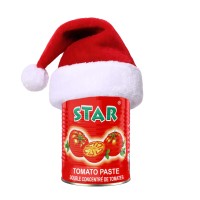 Star Tomato Paste logo - Similar company to Tomato Paste (Aymaz Group)