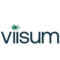 Viisum Chartered Accountants logo - Similar company to Link Capital Partners
