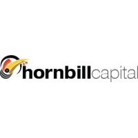 Hornbill Capital logo - Similar company to Stepsmart