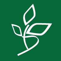 Danielli Seguros logo - Similar company to Odapp