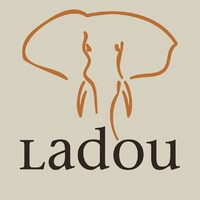 Attiéké by LADOU logo - Similar company to Histamine & Moi