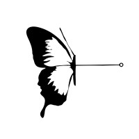 Chrysalis Streaming logo - Similar company to Veida Ai