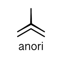 Anori A/S logo - Similar company to Orklys