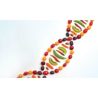 NutriGenomics logo - Similar company to Dnafit