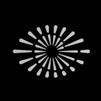 Bright Vision Technology logo - Similar company to Praxilabs