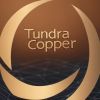 Tundra Copper logo - Similar company to Devon Capital Inc.