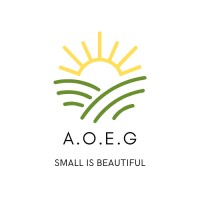 Association Obligations Economiques Guinée Conakry logo - Similar company to Somitrac