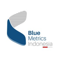 Blue Metrics logo - Similar company to Bluemetrics
