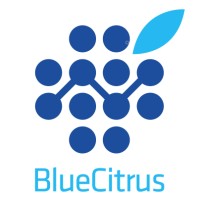 BLUE CITRUS SOFTWARE A.Ş logo - Similar company to Dkm Teknoloji