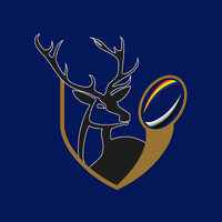 London Stags RFC logo - Similar company to Thamesians Rfc