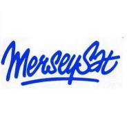 Merseyside Satellite Consultants Ltd logo - Similar company to Anfieldindex