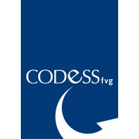 Codess Fvg logo - Similar company to Comunità Piergiorgio Onlus