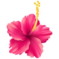 TribeHibiscus logo - Similar company to Chrisling Learning And Recreation