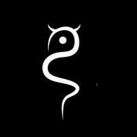 Asura Solutions logo - Similar company to Collective Os
