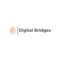 Digital Bridges Llc