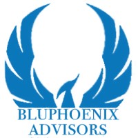 BluPhoenix Advisors logo - Similar company to Nurture.Io