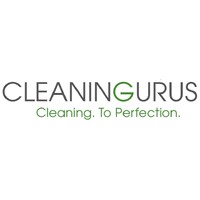 CLEANING GURUS AGENCY logo - Similar company to Fdi Advisory Group