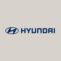 Hyundai Motor México logo - Similar company to Goldenberry