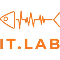 IT.LAB Srl logo - Similar company to It-Project