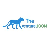 The VenturelLoom logo - Similar company to Mvpnbeyond