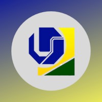 Grupo de Estudos e Pesquisa em Direito Eleitoral e Partidário - GEPDEL/UFU logo - Similar company to Núcleo De Estudos Em Direito Eleitoral - Nedel/Ufpr