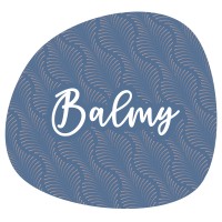 Balmy.si logo - Similar company to Dinetix - Digital Marketing Agency