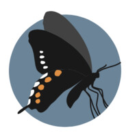 Borderlands Restoration Network logo - Similar company to Mobius Innovations