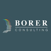 Borer Consulting logo - Similar company to Dr. Borer & Partner
