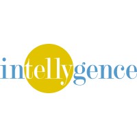 Intellygence Consultancy logo - Similar company to Devassist