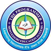 The Programmer School logo - Similar company to Progressive Public School