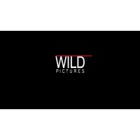 Wild Pictures logo - Similar company to Spark Of Genius
