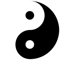 Continental Sports Shop logo - Similar company to Lee'S Karate
