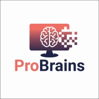 ProBrains.co logo - Similar company to Pixemsoft