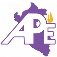 Asociación Peruana De Enfermería