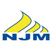NUR JAYA MEDIC SDN BHD (MEDICAL DEVICE MANUFACTURING) (CO. REG NO.: 200901013468/ 856525-A) logo - Similar company to 3S Medic Sdn Bhd