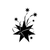 Southern Cross Soloists
