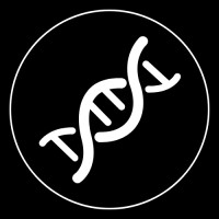 GEO Corp. logo - Similar company to Future Crew