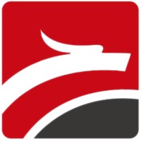 GuangDong PinLong Precision Technology Co., Ltd. logo - Similar company to Dongfang Precision Group